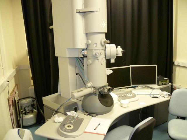 FEI Tecnai 20 Transmission Electron Microscope